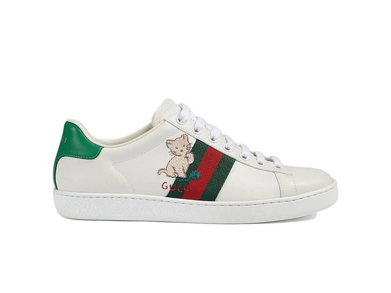 Gucci Ace kitten