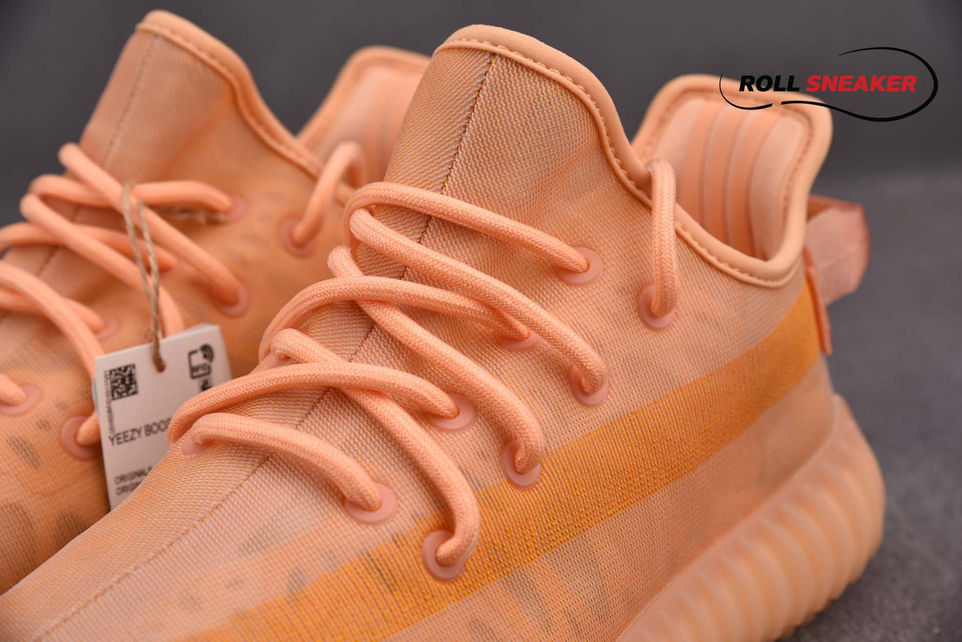 Adidas Yeezy 350 V2 Mono “Clay”