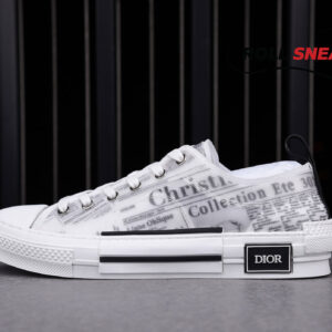 Dior B23 Low Top Daniel Arsham Newspaper