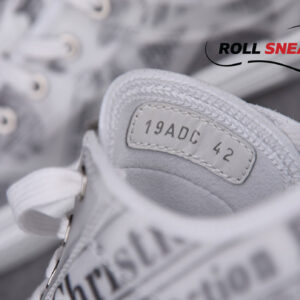 Dior B23 Low Top Daniel Arsham Newspaper