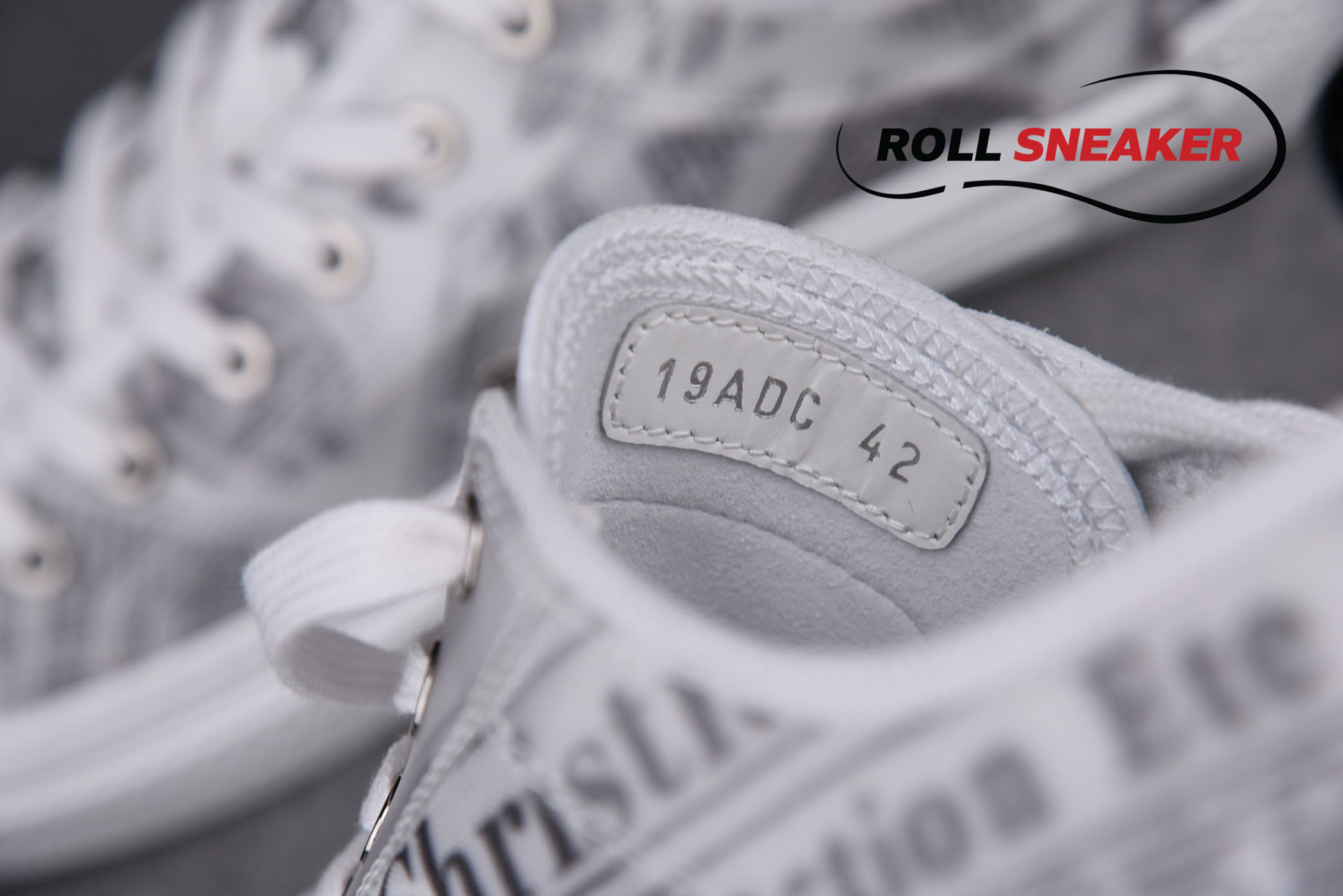 Dior B23 Low Top Daniel Arsham Newspaper 