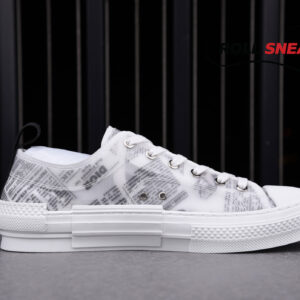 Dior B23 Low Top Daniel Arsham Newspaper