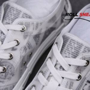 Dior B23 Low Top Daniel Arsham Newspaper