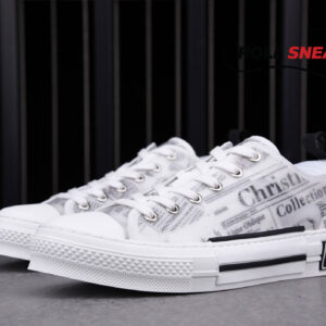 Dior B23 Low Top Daniel Arsham Newspaper