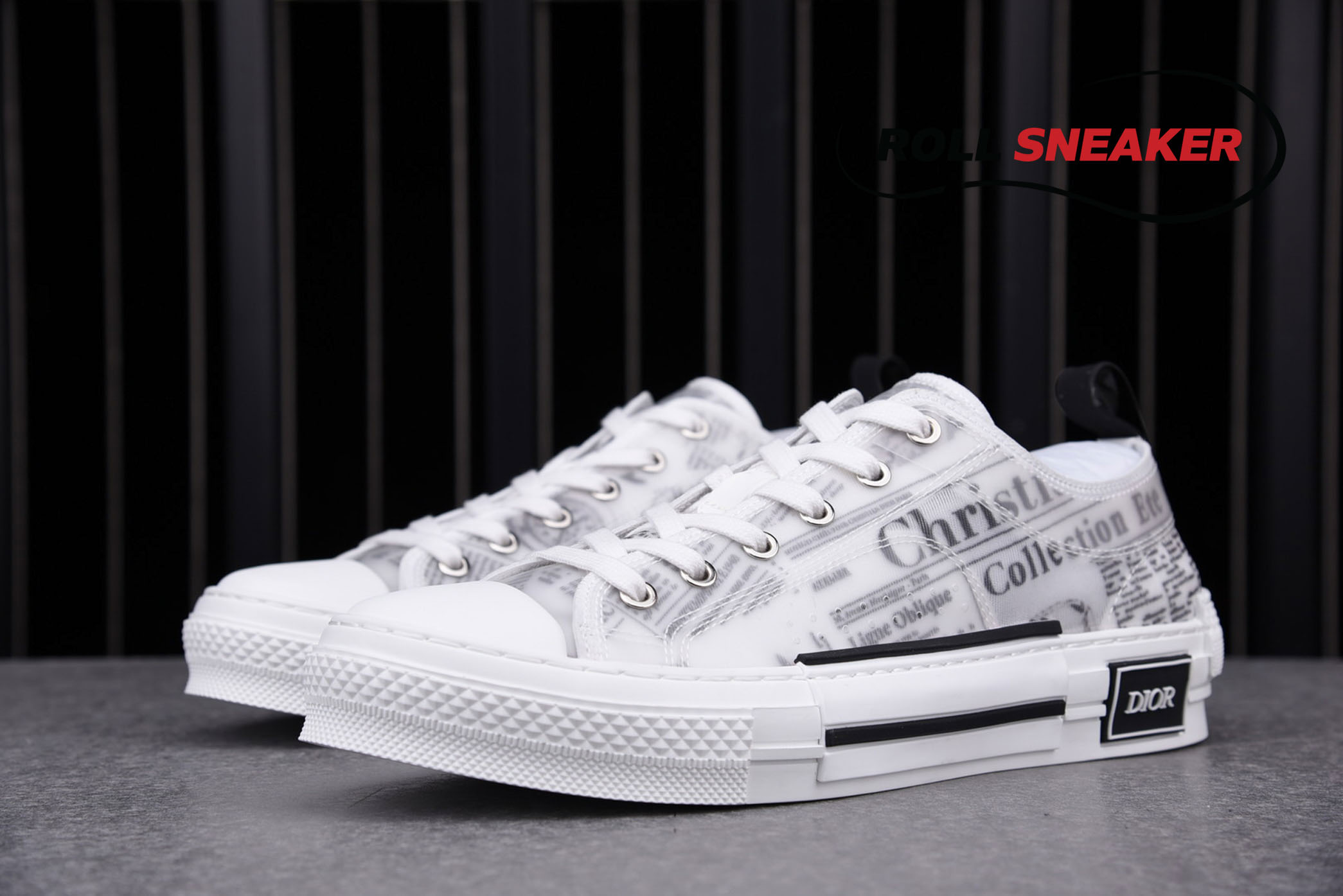 Dior B23 Low Top Daniel Arsham Newspaper 