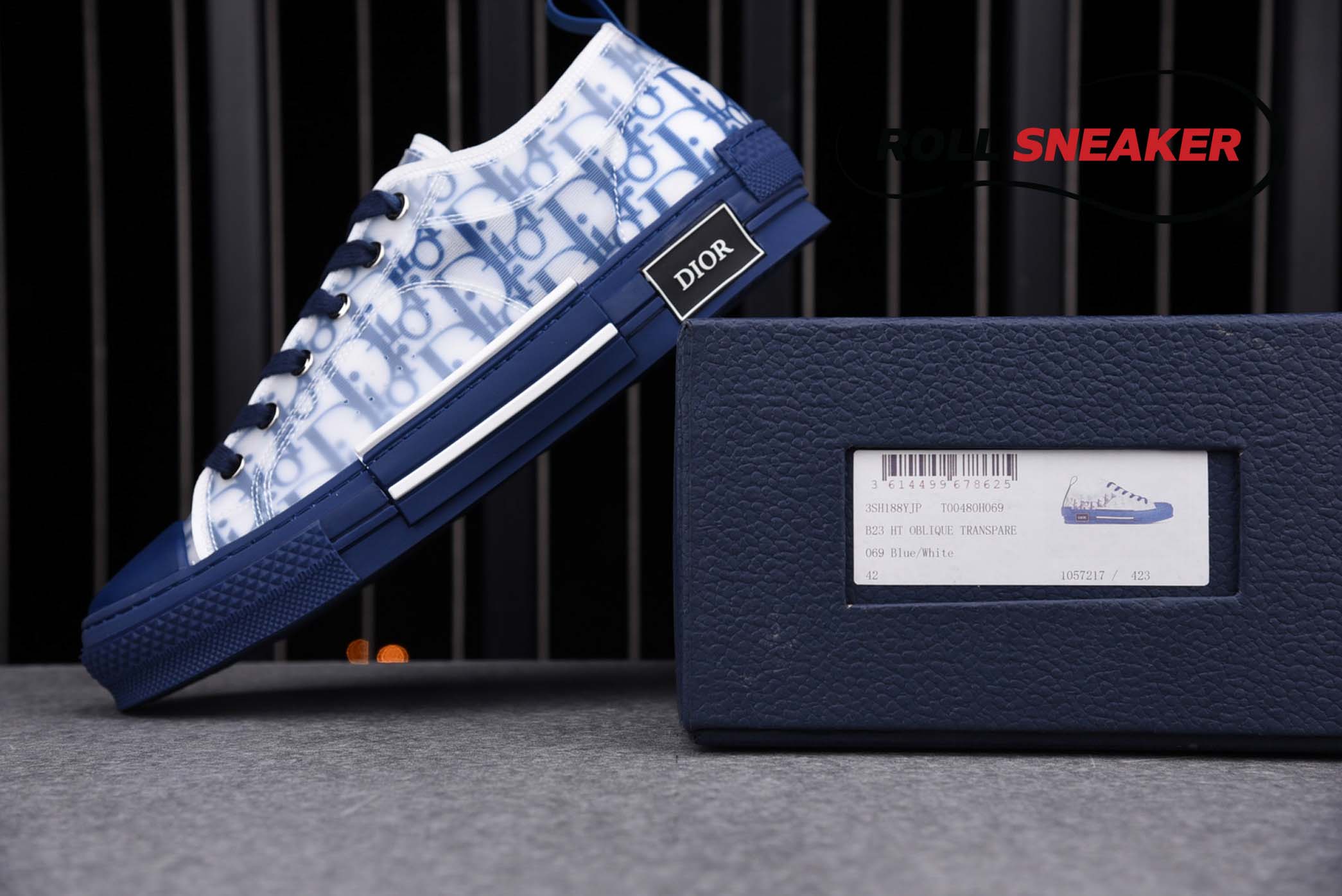 Dior B23 Low Top Oblique Canvas Blue 