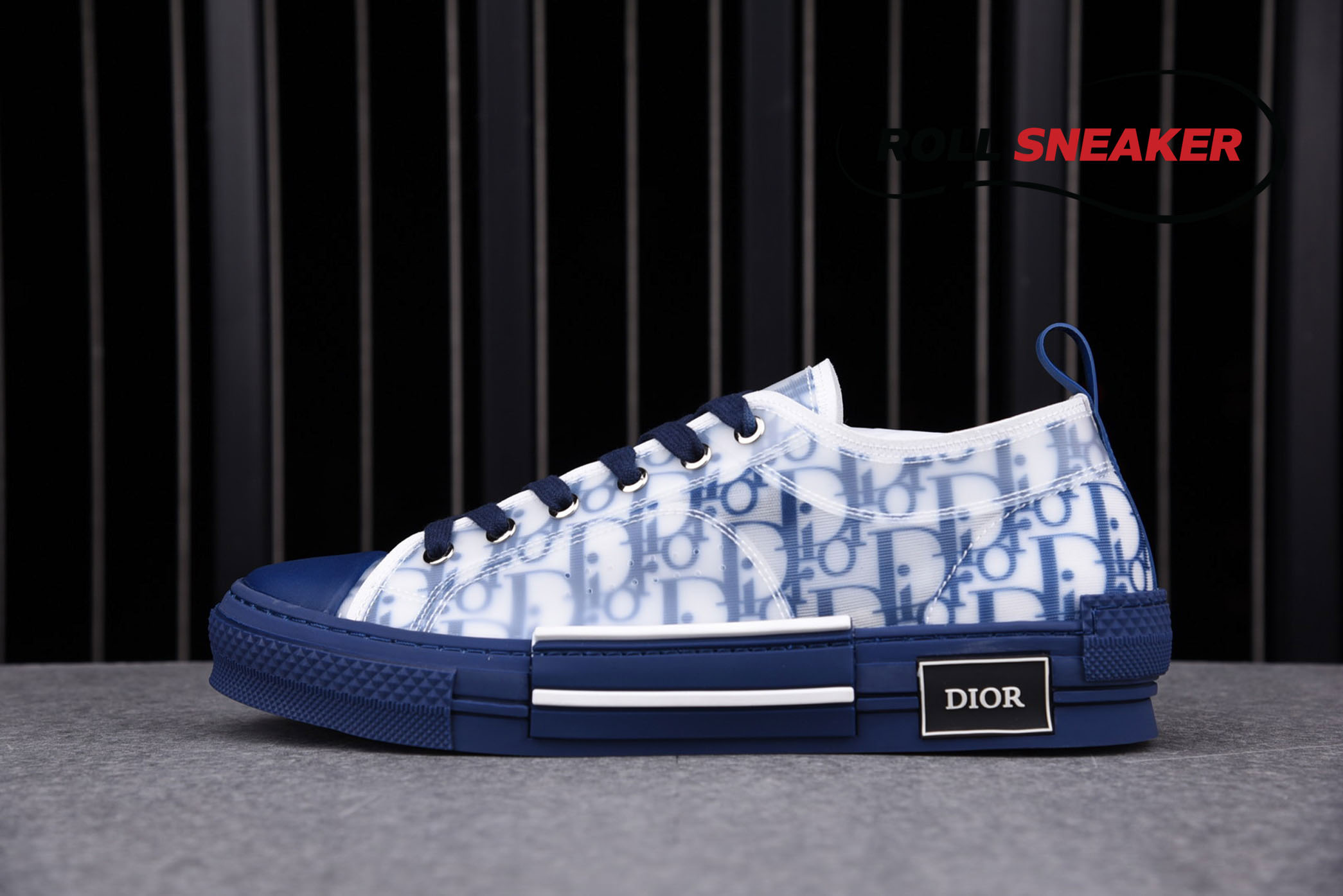 Dior B23 Low Top Oblique Canvas Blue 