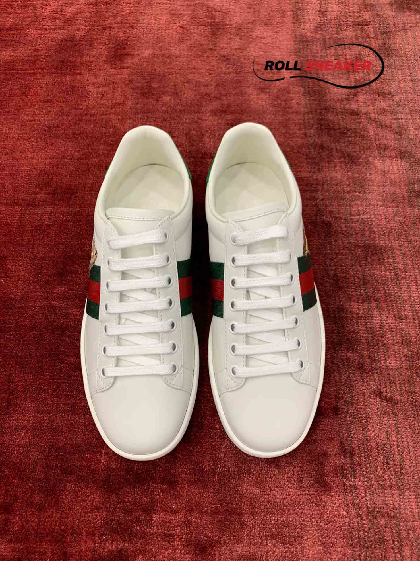 Gucci Ace kitten 