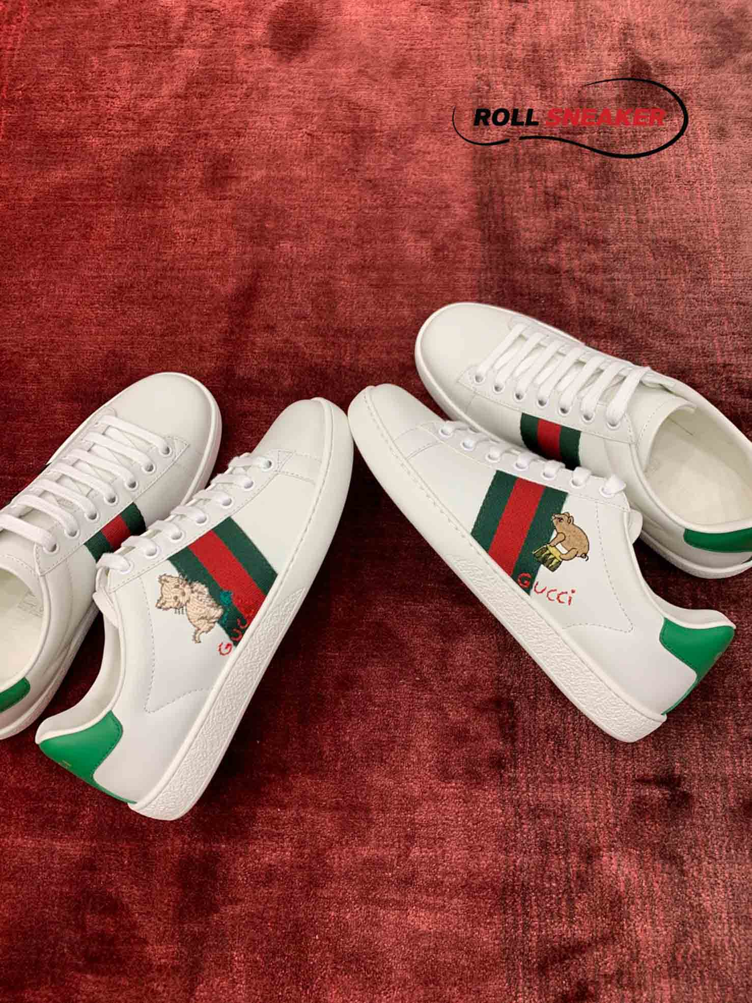 Gucci Ace kitten 