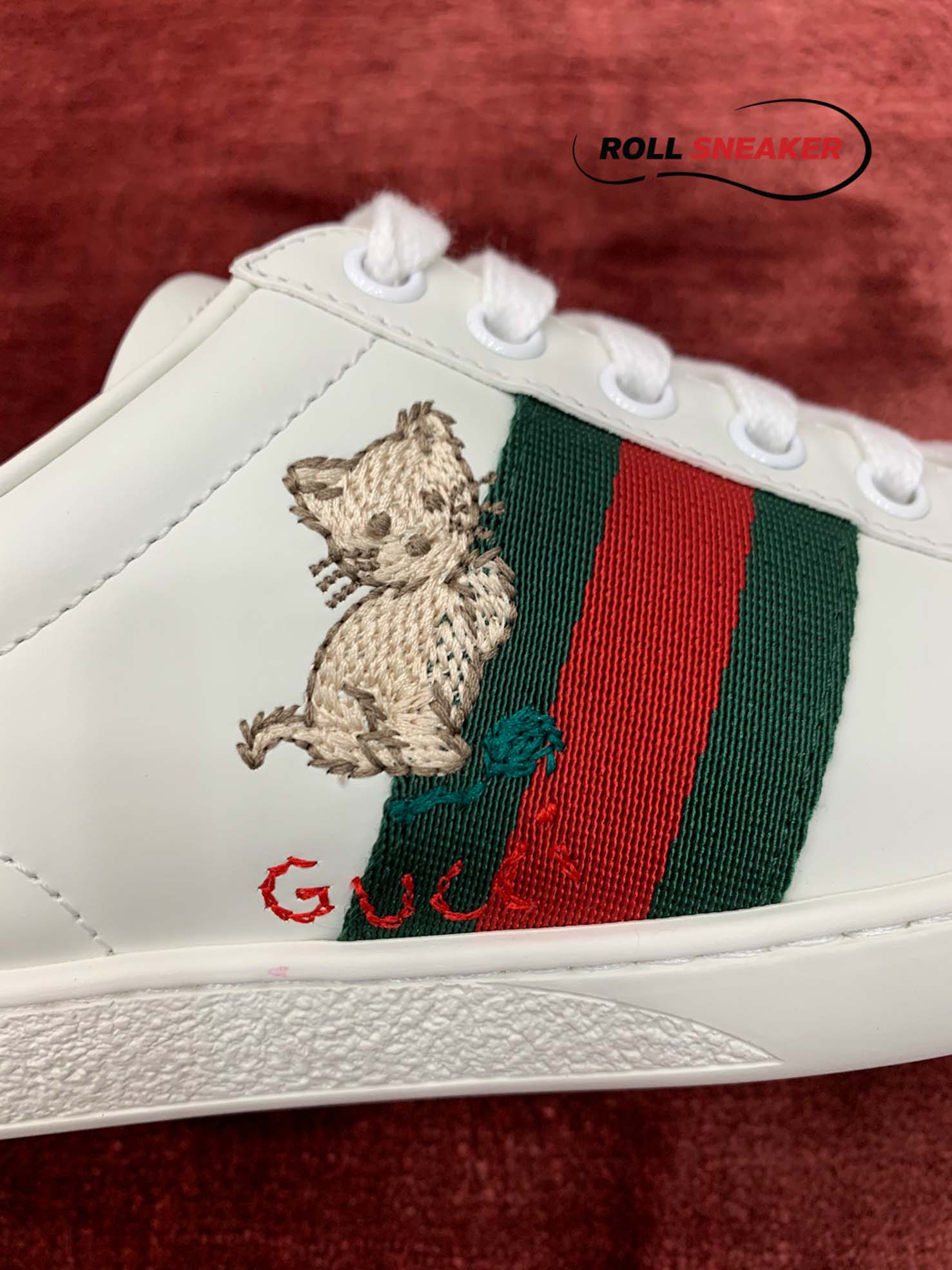 Gucci Ace kitten 