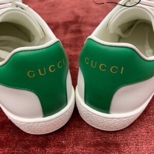 Gucci Ace kitten