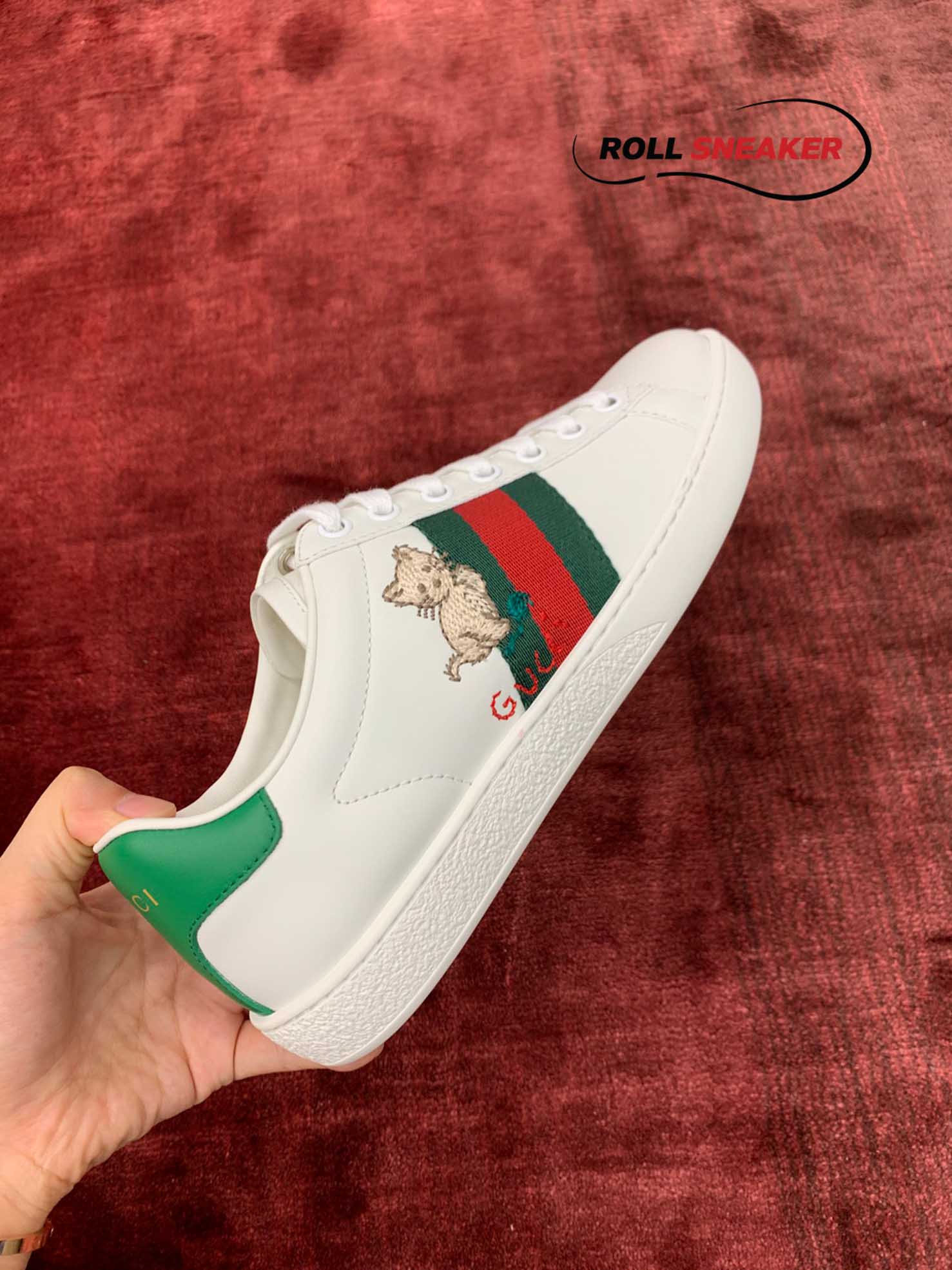 Gucci Ace kitten 