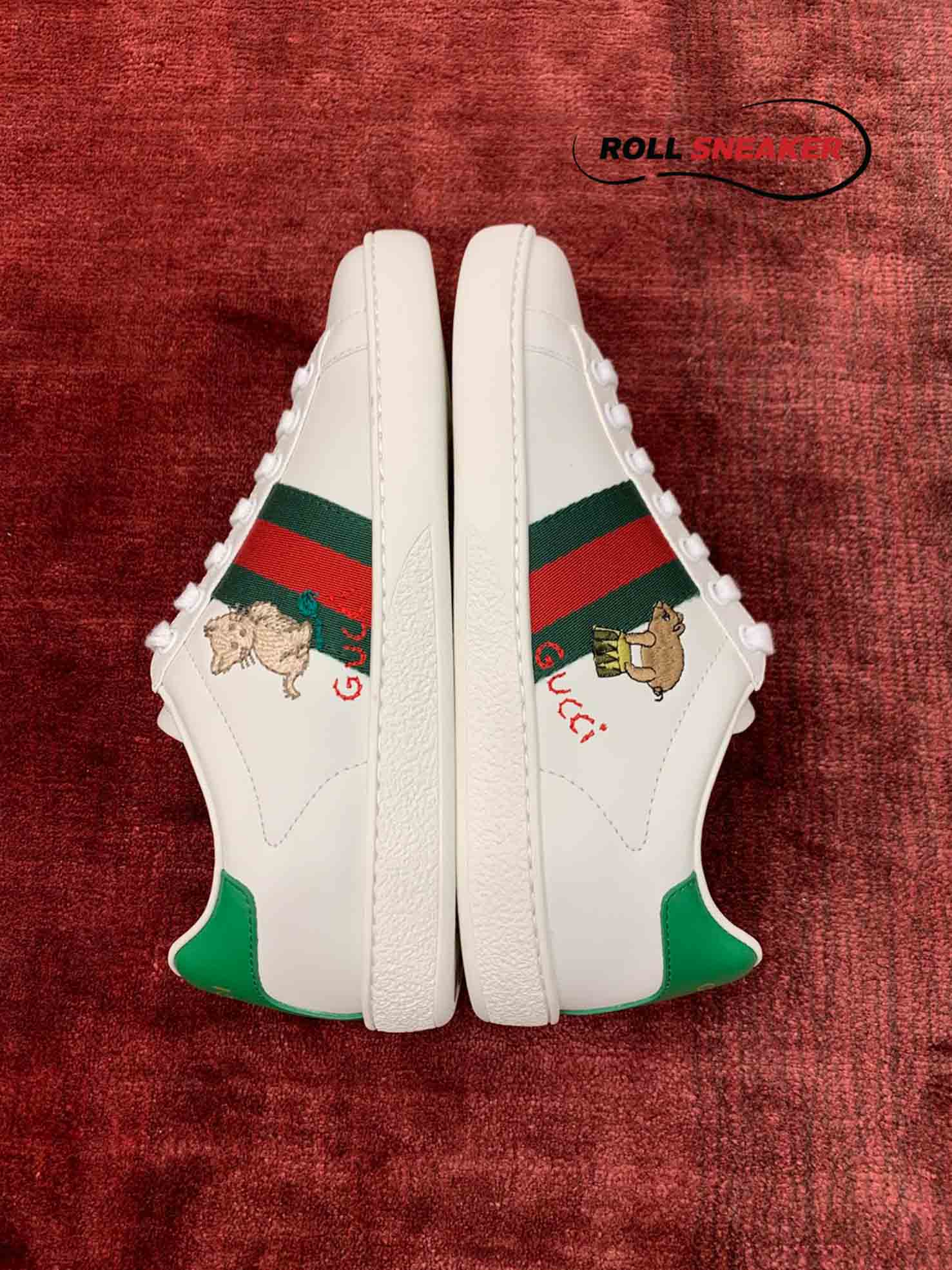 Gucci Ace kitten 