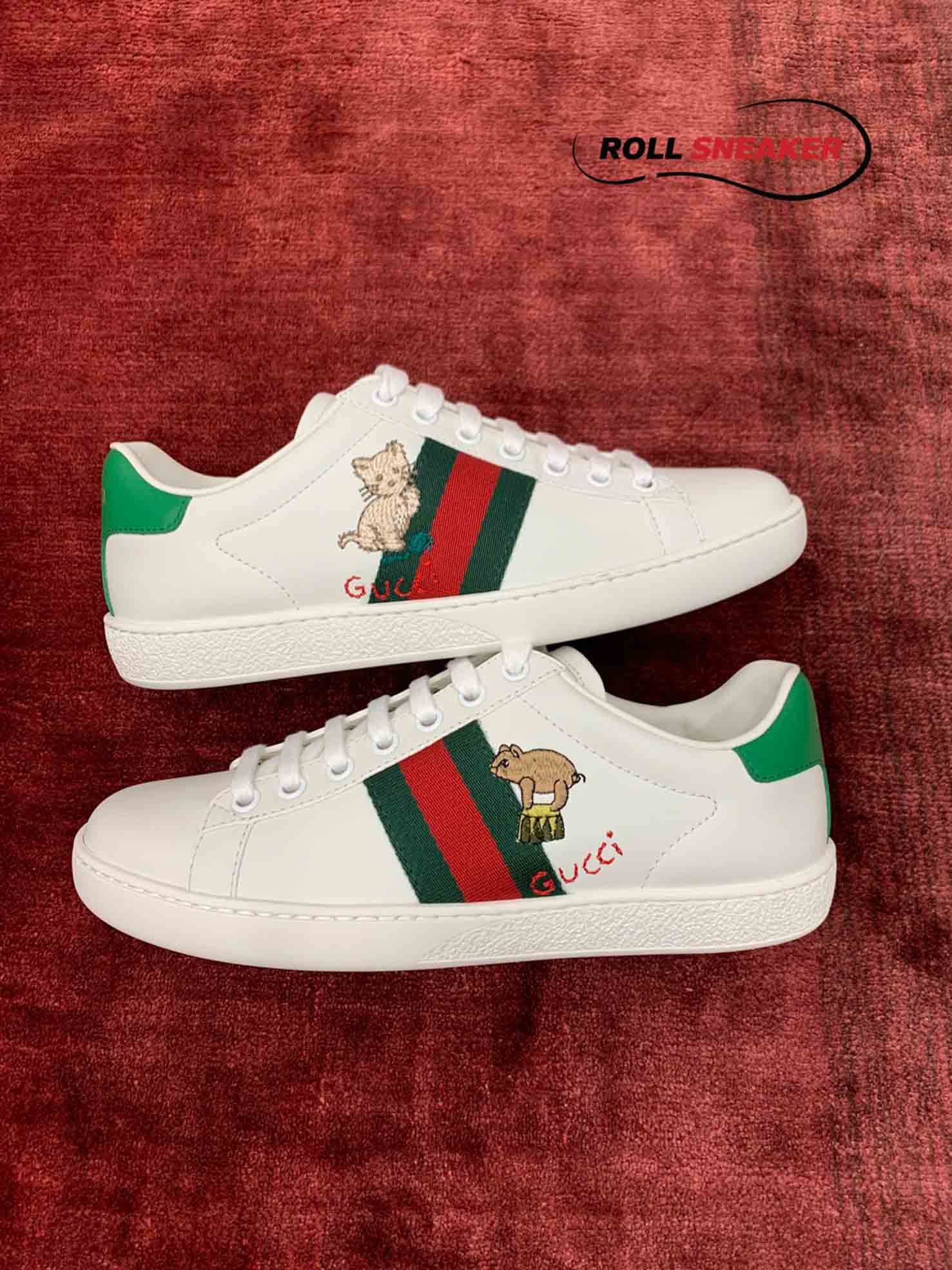 Gucci Ace kitten 