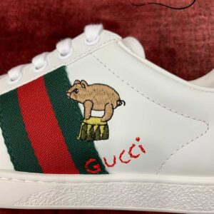 Gucci Ace kitten