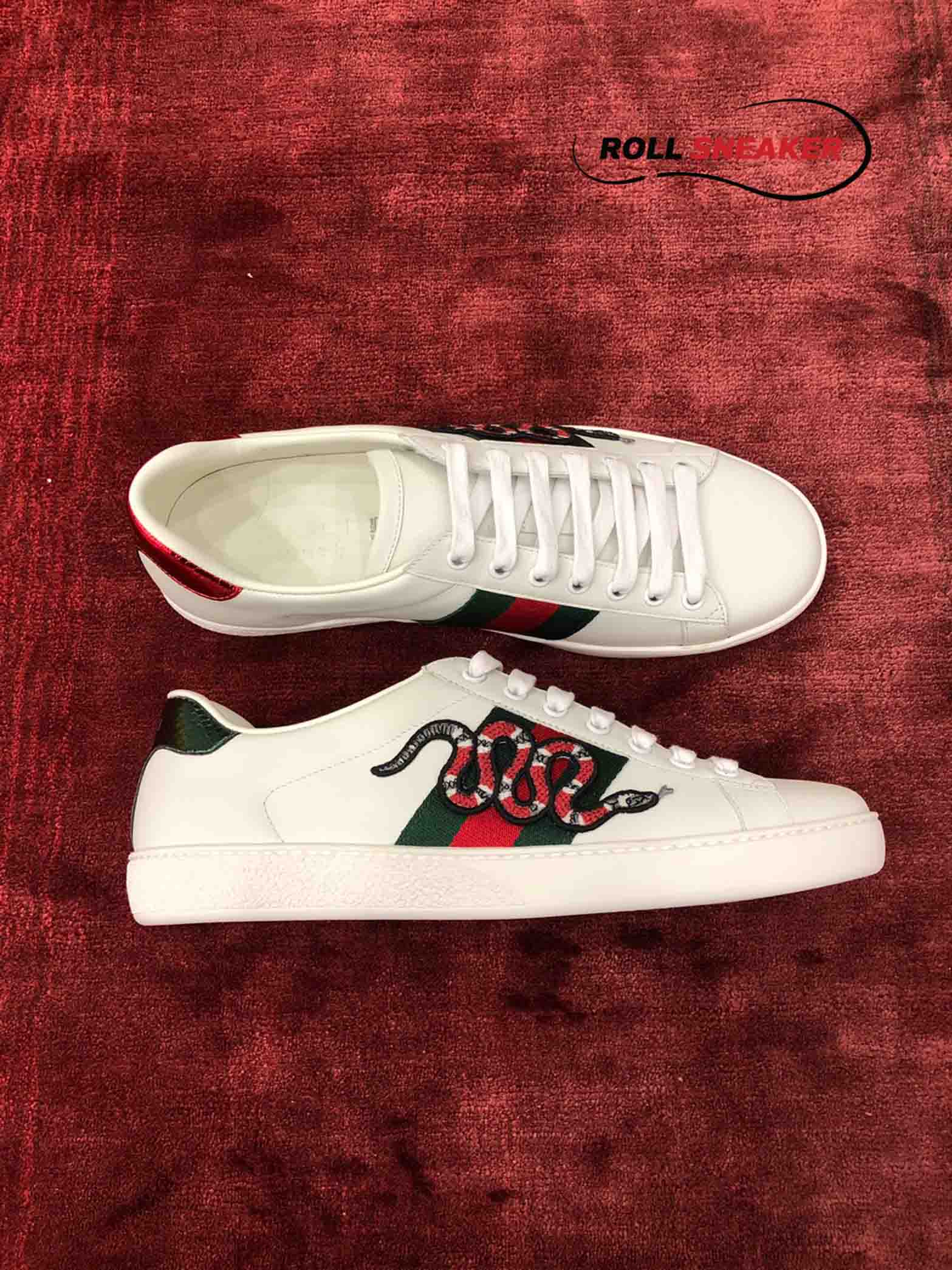 Gucci Rắn “White Snake” 