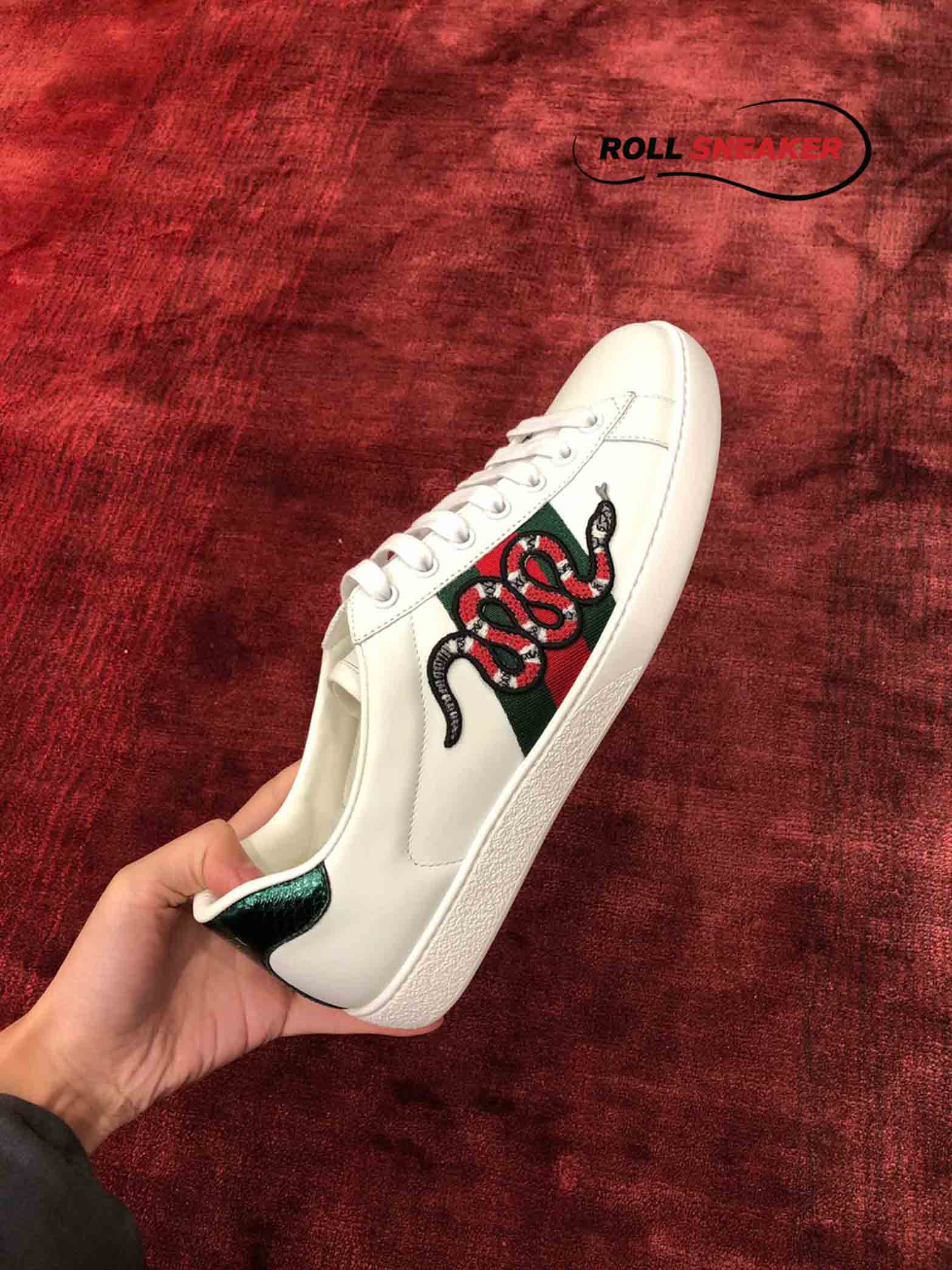 Gucci Rắn “White Snake” 