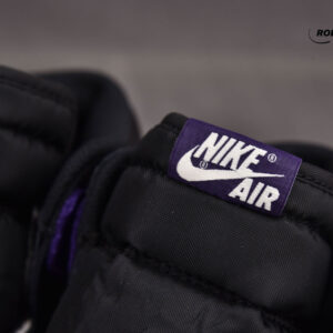 Nike Air Jordan 1 High Court Purple 1.0