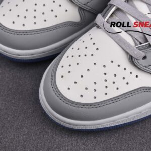 Nike Air Jordan 1 Retro Low Dior