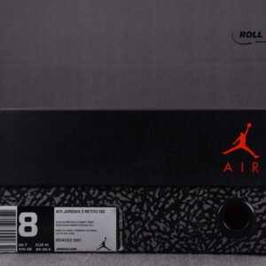 Nike Air Jordan 3 Retro Black Cement