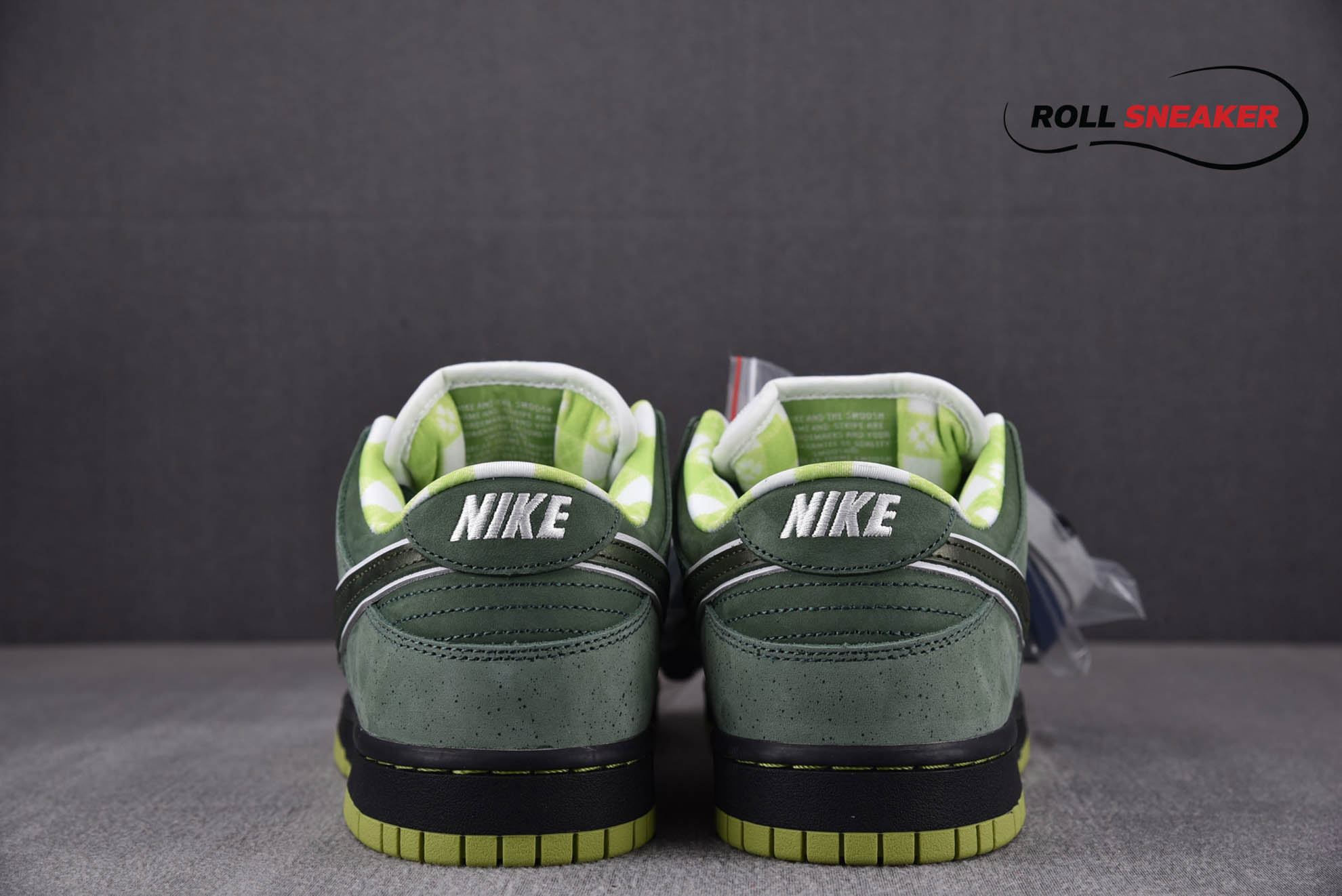 Nike Green Concepts x NK SB Dunk Low