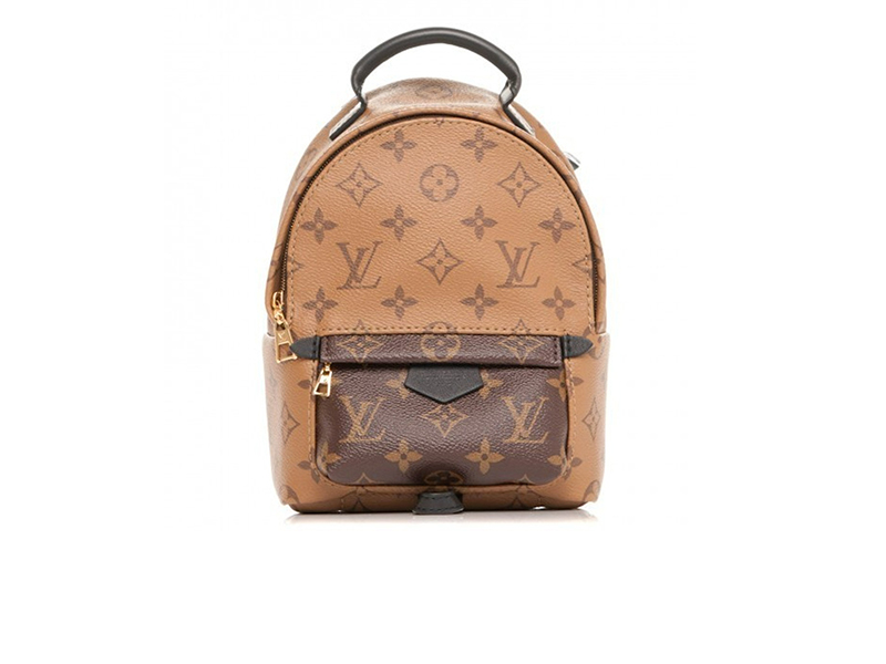 Louis Vuitton Palm Springs Reverse Monogram Mini Brown