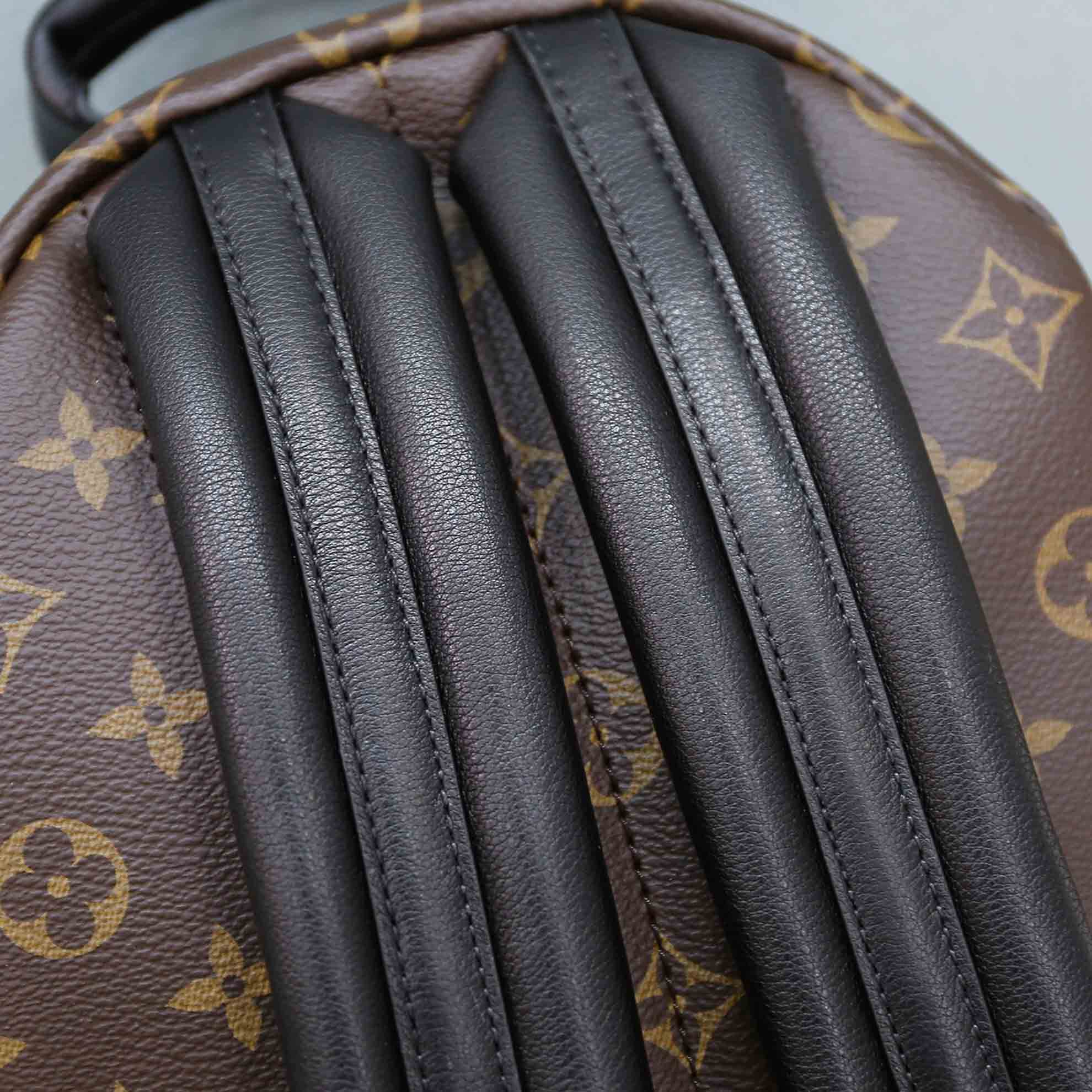 Balo Backpack LV Palm Spring PM