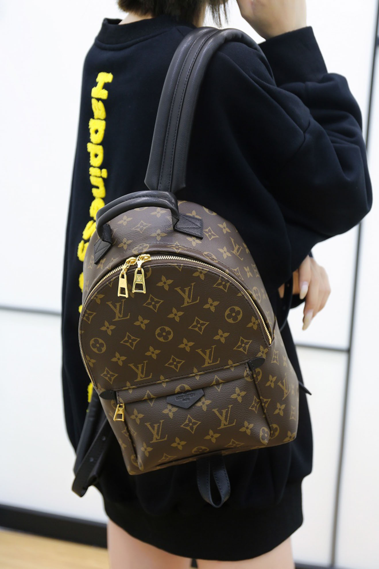 Balo Backpack LV Palm Spring PM