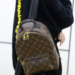 Balo Backpack LV Palm Spring PM