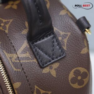 Balo Louis Vuitton Palm Springs Mini Brown