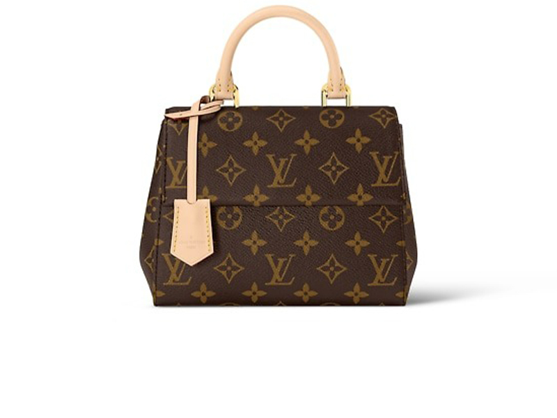 LV Cluny Mini Monogram Canvas