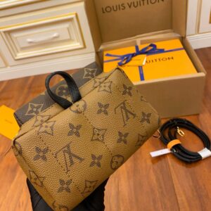 Louis Vuitton Palm Springs Reverse Monogram Mini Brown