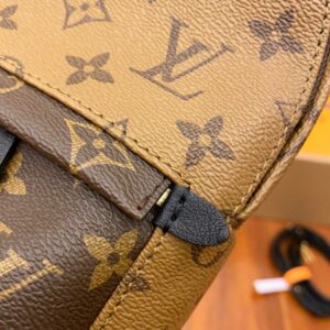 Louis Vuitton Palm Springs Reverse Monogram Mini Brown