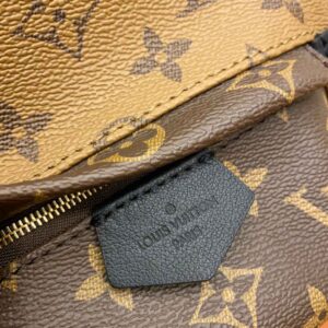 Louis Vuitton Palm Springs Reverse Monogram Mini Brown