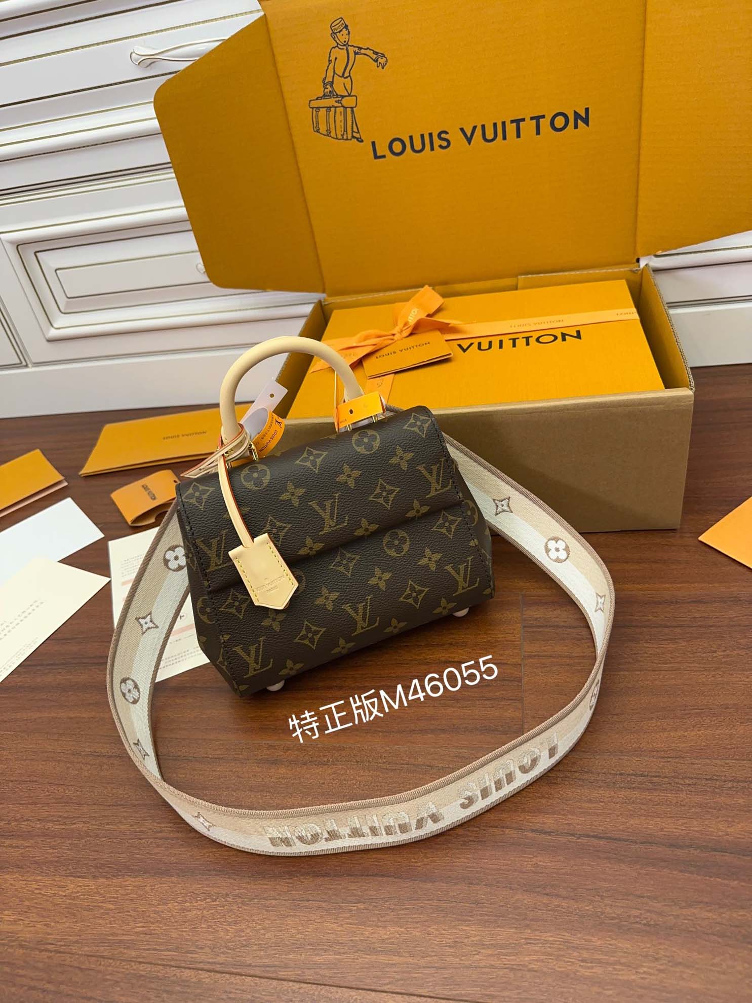 LV Cluny Mini Monogram Canvas