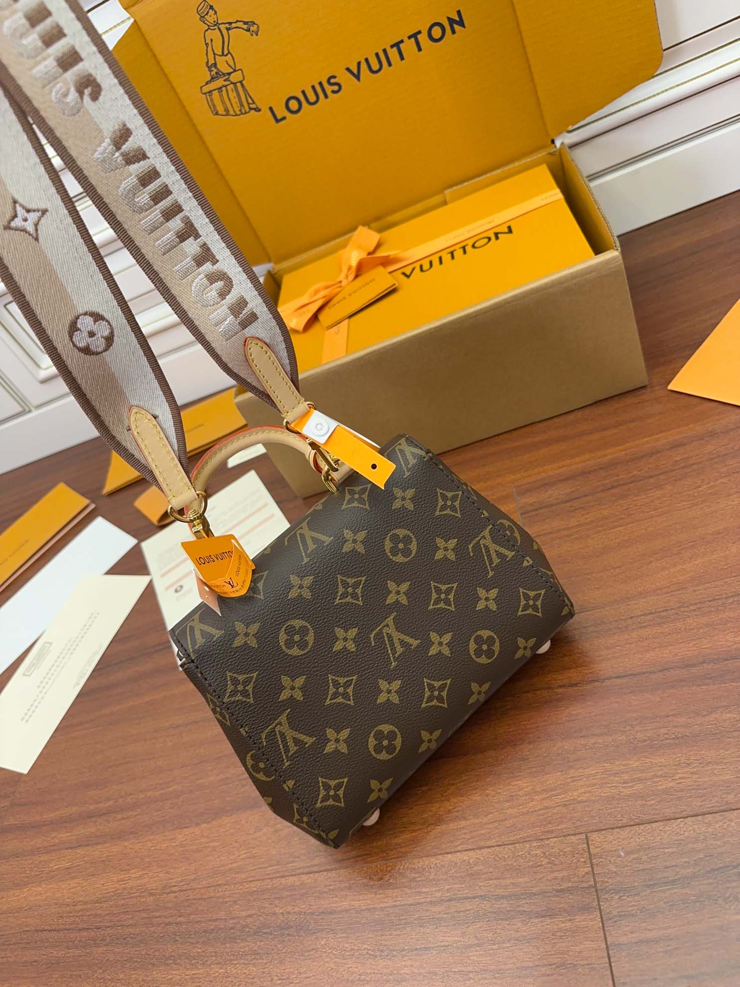 LV Cluny Mini Monogram Canvas