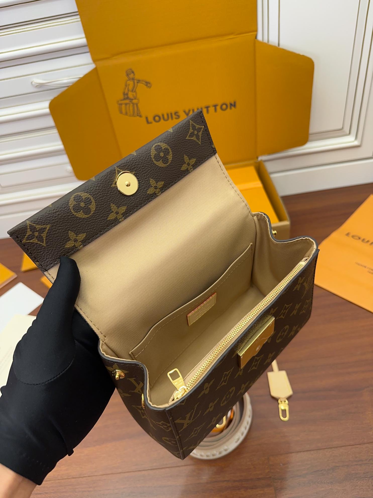 LV Cluny Mini Monogram Canvas