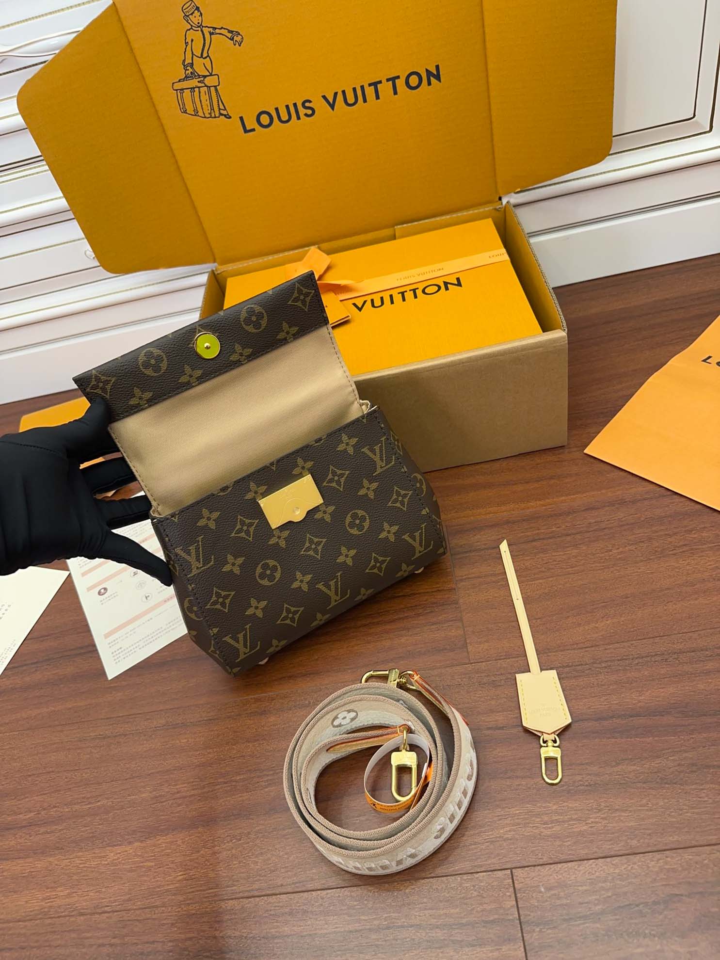 LV Cluny Mini Monogram Canvas