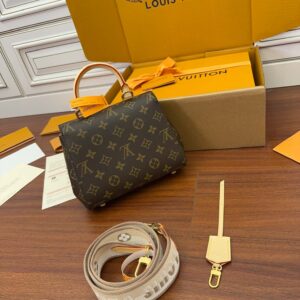 LV Cluny Mini Monogram Canvas