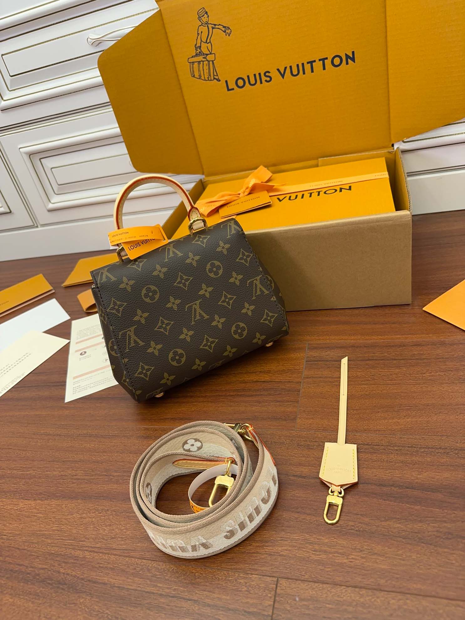 LV Cluny Mini Monogram Canvas