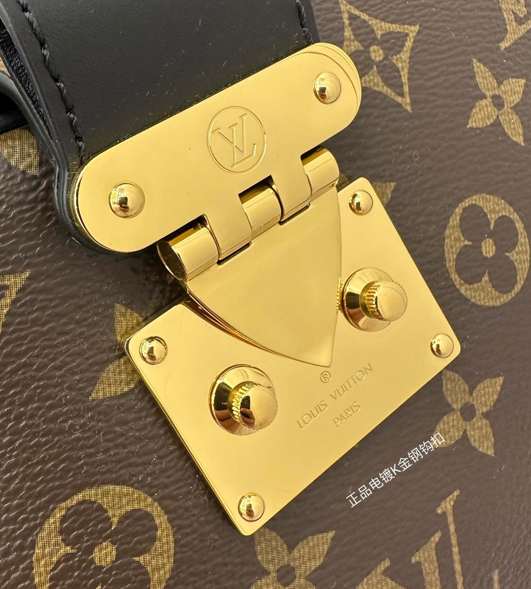 LV Twinny Other Monogram Canvas