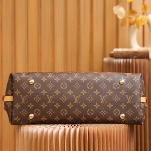 Túi Louis Vuitton CarryAll MM Bag ‘Brown’