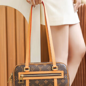 tui-louis-vuitton-cite-bag