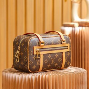 tui-louis-vuitton-cite-bag