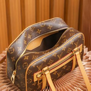 tui-louis-vuitton-cite-bag