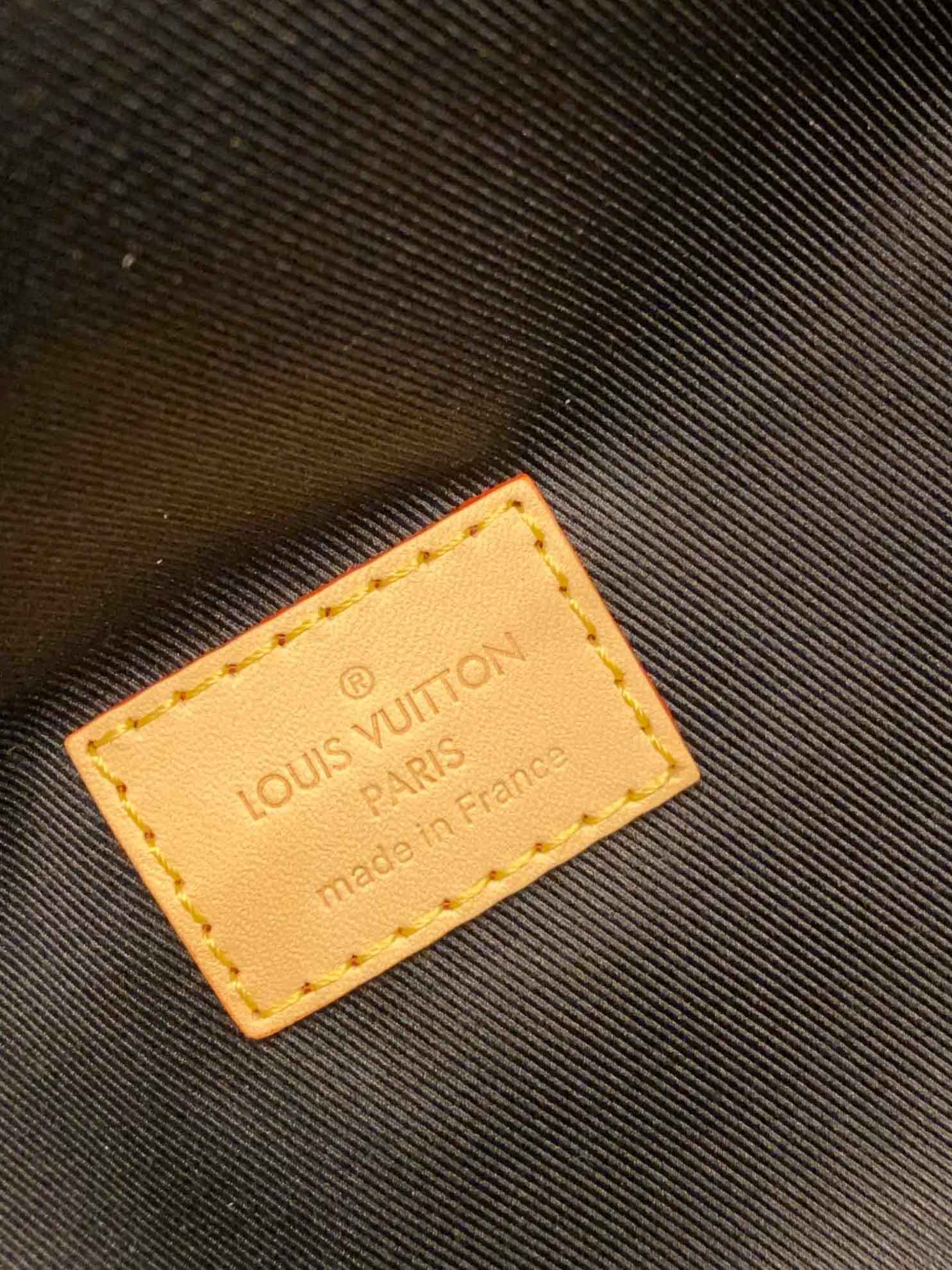 Túi Louis Vuitton Monogram Canvas Bumbag 