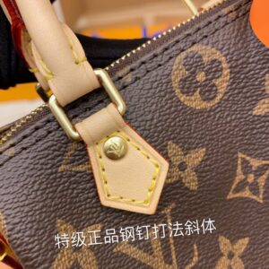 Túi Louis Vuitton Nano Speedy Monogram Canvas Brown Handbag