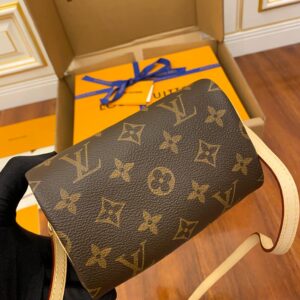 Túi Louis Vuitton Nano Speedy Monogram Canvas Brown Handbag