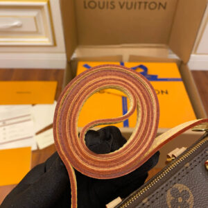 Túi Louis Vuitton Nano Speedy Monogram Canvas Brown Handbag