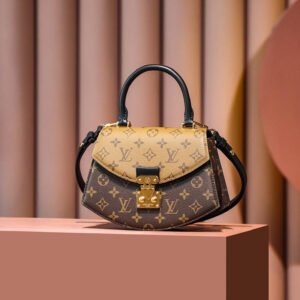 Túi Louis Vuitton Tilsitt Bag ‘Brown’